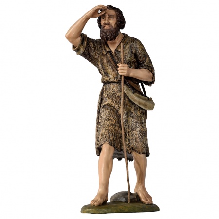 Berger Fibre debout qui scrute l�horizon.