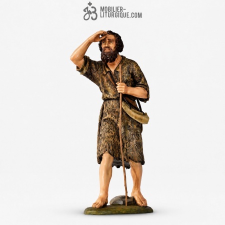 Berger Fibre debout qui scrute l\'horizon.