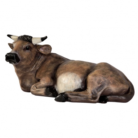 Boeuf Fibre