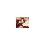 Le Boeuf et l'�ne
