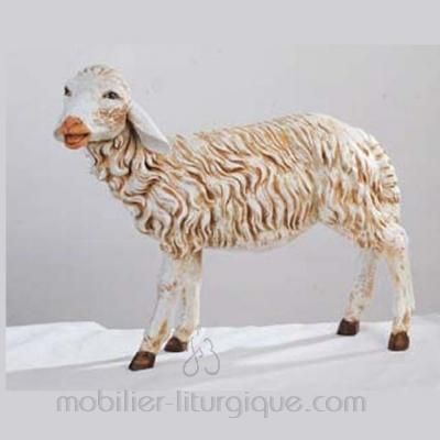 Mouton debout