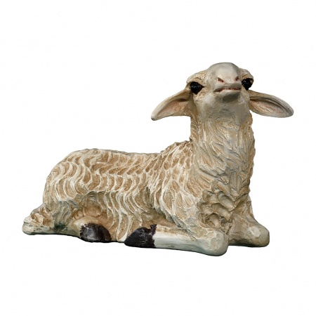 Mouton Fibre