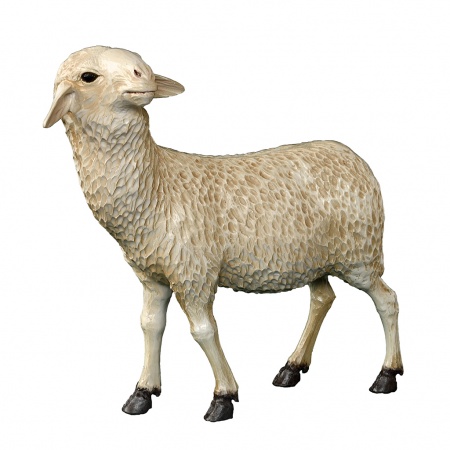 Mouton Fibre