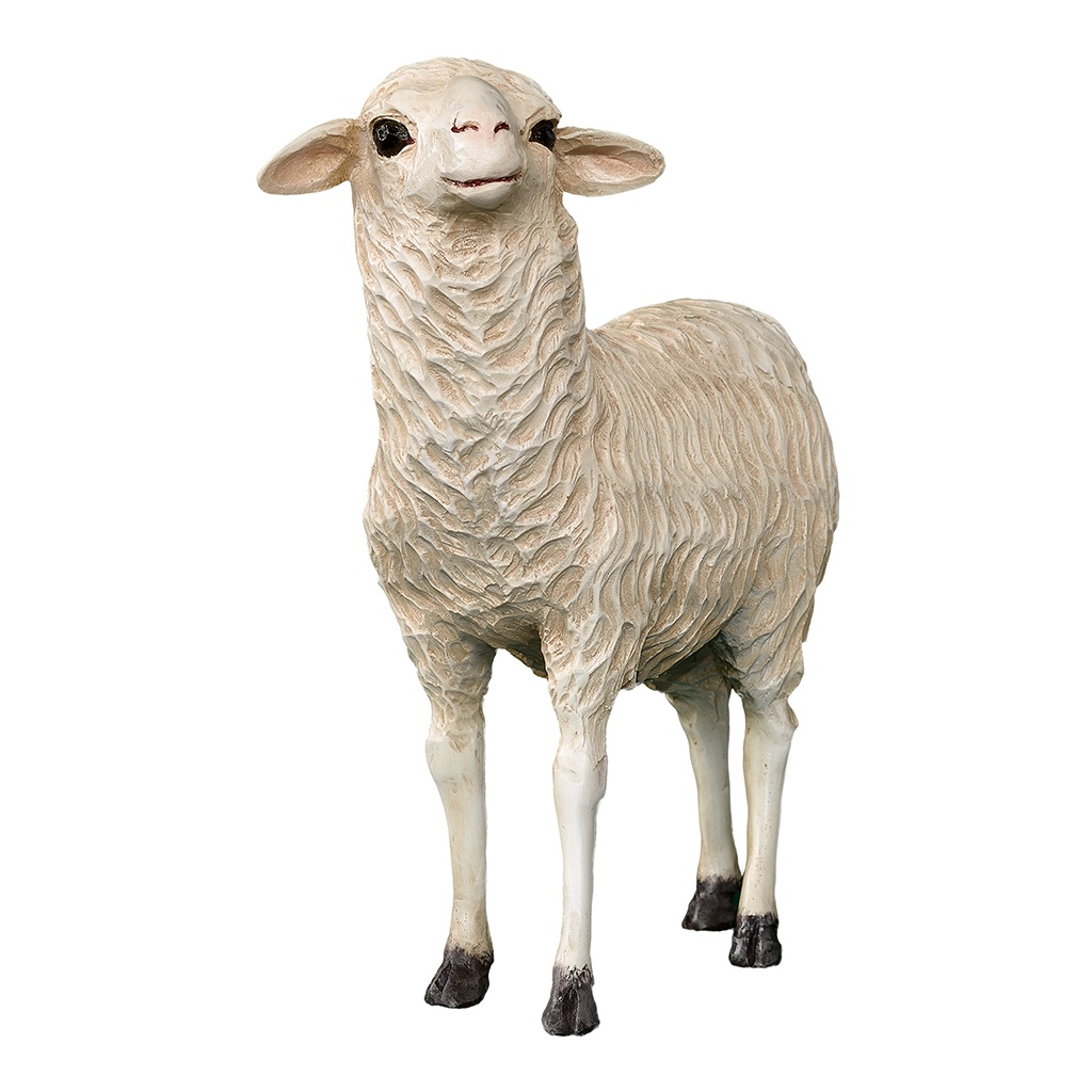 Mouton Fibre