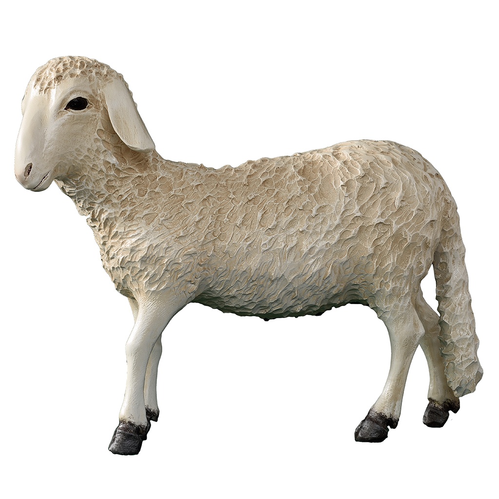 Mouton Fibre