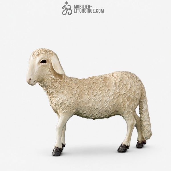 Mouton Fibre