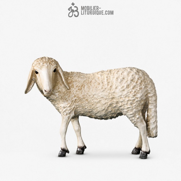 Mouton Fibre
