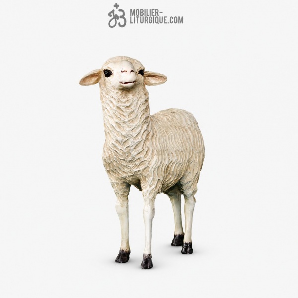 Mouton Fibre