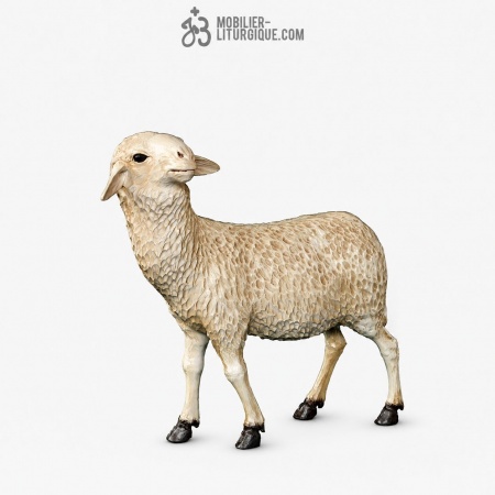 Mouton Fibre