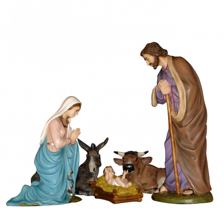 Saint Joseph Fibre