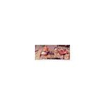 Tapis aux pr�sents